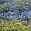 DSC06106