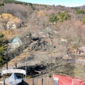 Catskill Game Farm For Sale